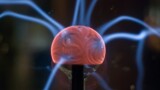 В компании Google создали нейросеть, которая может обнаружить раковую опухоль на рентгене