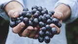 Винотерапия: избавляемся от стресса и молодеем