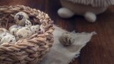 Пасха 2019: как покрасить перепелиные яйца