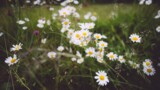 Церковные праздники в июне 2019: календарь по дням