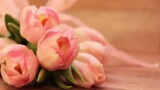 Випускний 2019: зворушливі привітання класному керівнику