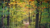Церковные праздники в сентябре 2019: календарь по дням