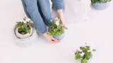30 сентября – праздники, именины, приметы