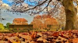 Церковні свята в листопаді 2019: календар по днях