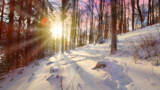 15 февраля – праздники, именины, приметы